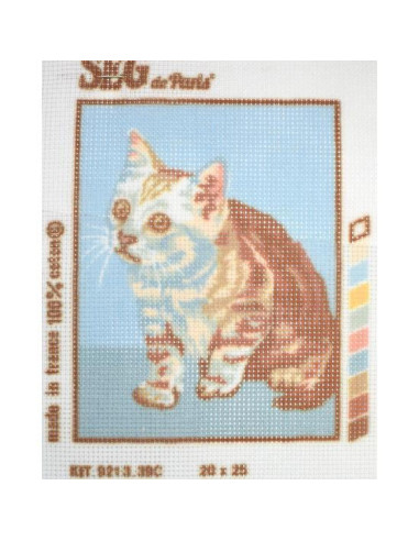 Kit petit point gato a rayas