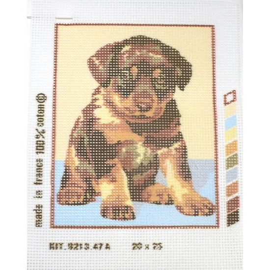 Kit petit point cachorro