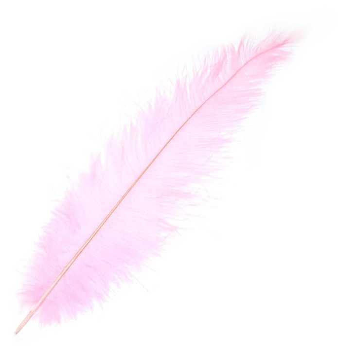 Pluma long chick 45cm | Mercería Online Pontejos
